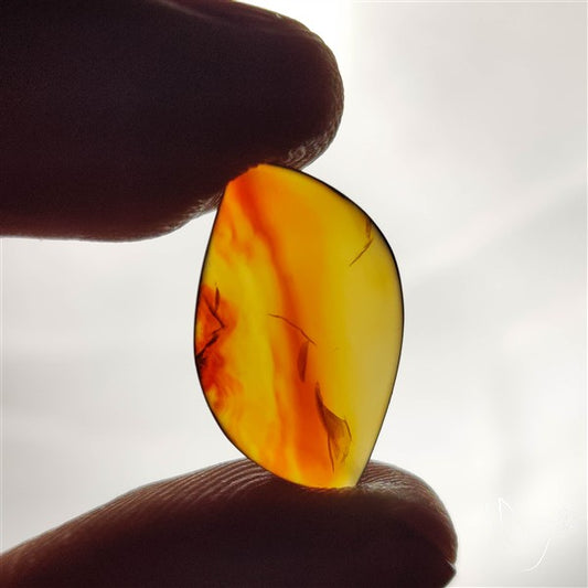 Montana Agate Cabochon