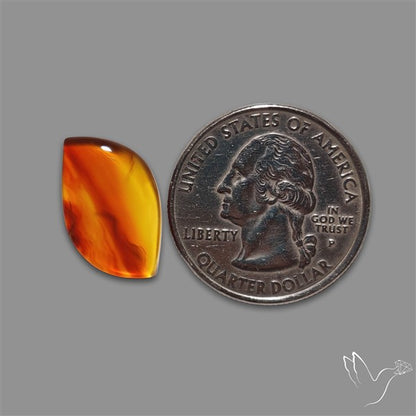Montana Agate Cabochon