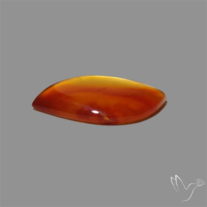 Montana Agate Cabochon