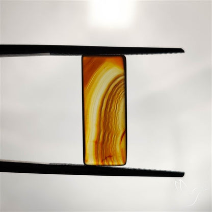 Montana Agate Cabochon