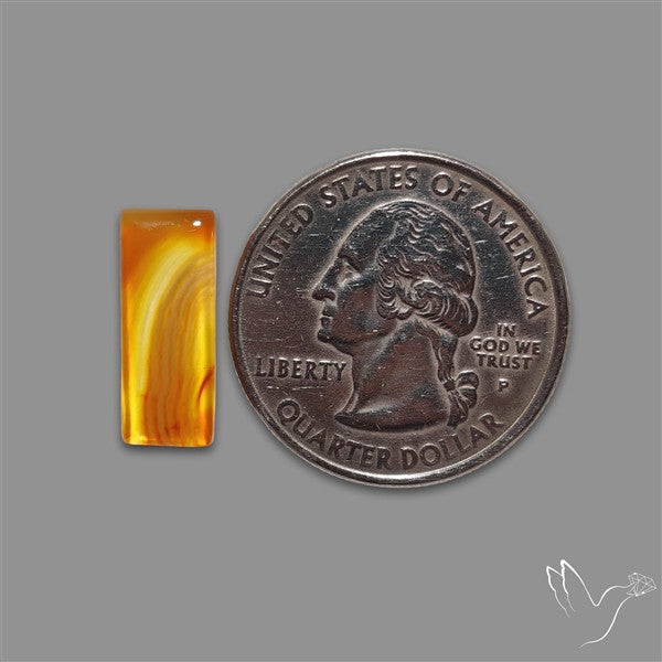 Montana Agate Cabochon