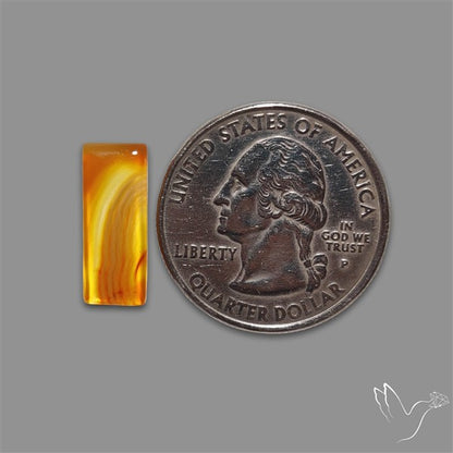 Montana Agate Cabochon