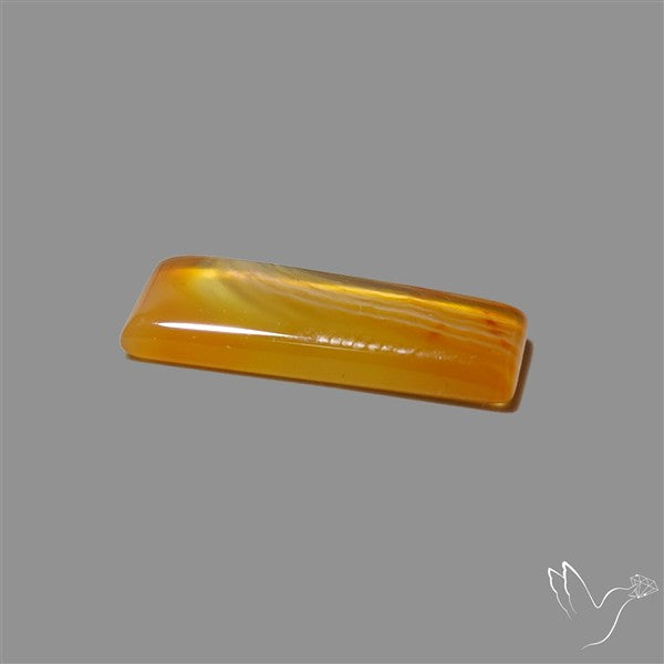 Montana Agate Cabochon