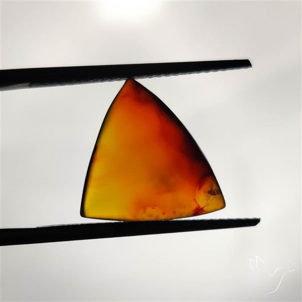 Montana Agate Cabochon