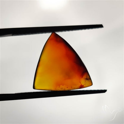 Montana Agate Cabochon