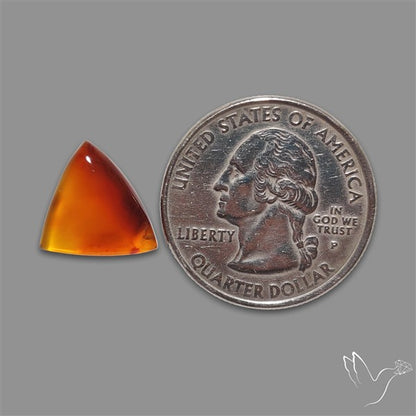 Montana Agate Cabochon