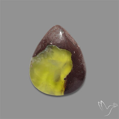 Bi-Colour Australian Prehnite Cabochon