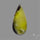Bi-Colour Australian Prehnite Cabochon