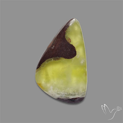 Bi-Colour Australian Prehnite Cabochon