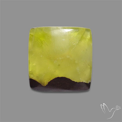 Bi-Colour Australian Prehnite Cabochon