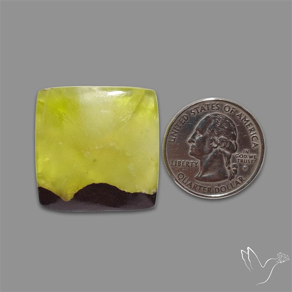 Bi-Colour Australian Prehnite Cabochon
