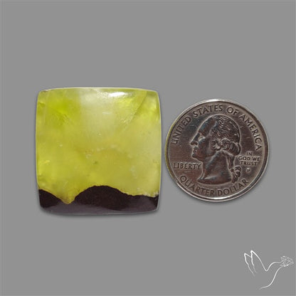 Bi-Colour Australian Prehnite Cabochon