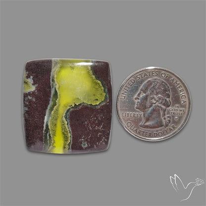Bi-Colour Australian Prehnite Cabochon