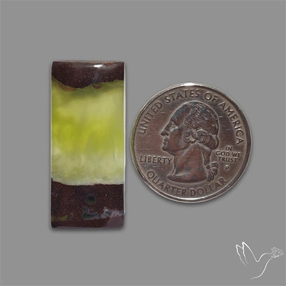 Bi-Colour Australian Prehnite Cabochon