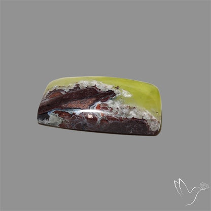 Bi-Colour Australian Prehnite Cabochon