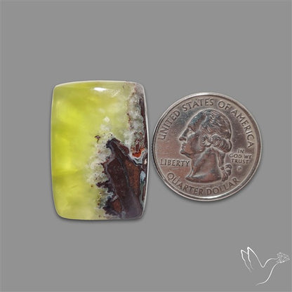Bi-Colour Australian Prehnite Cabochon