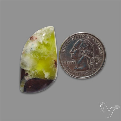 Bi-Colour Australian Prehnite Cabochon