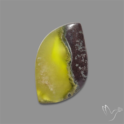 Bi-Colour Australian Prehnite Cabochon