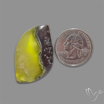 Bi-Colour Australian Prehnite Cabochon