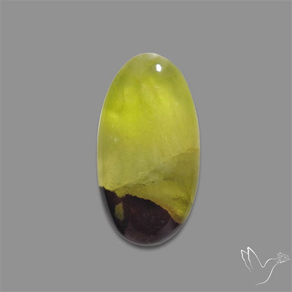 Bi-Colour Australian Prehnite Cabochon