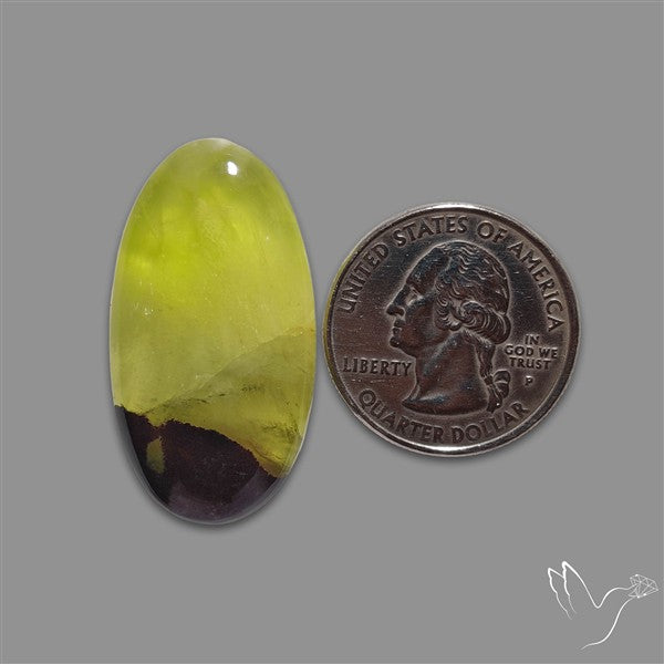 Bi-Colour Australian Prehnite Cabochon
