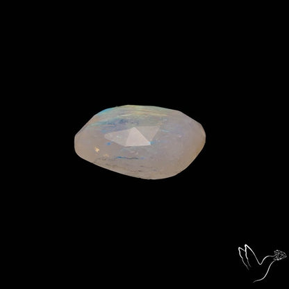 Rose Cut Rainbow Moonstone