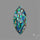 Abalone Shell