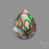 Abalone Shell