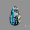 Abalone Shell