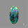 Abalone Shell