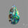 Abalone Shell
