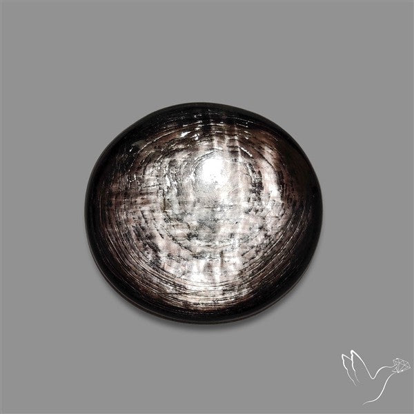 Hypersthene Cabochon