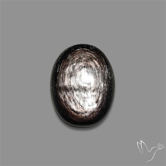 Hypersthene Cabochon
