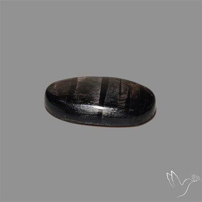 Hypersthene Cabochon