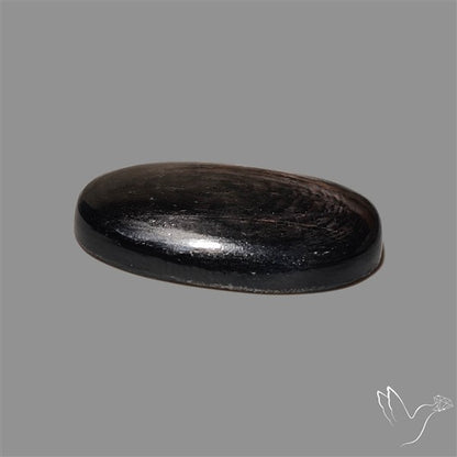 Hypersthene Cabochon