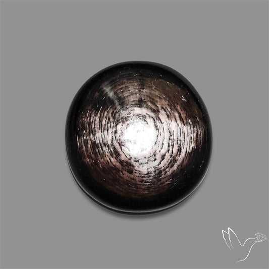 Hypersthene Cabochon