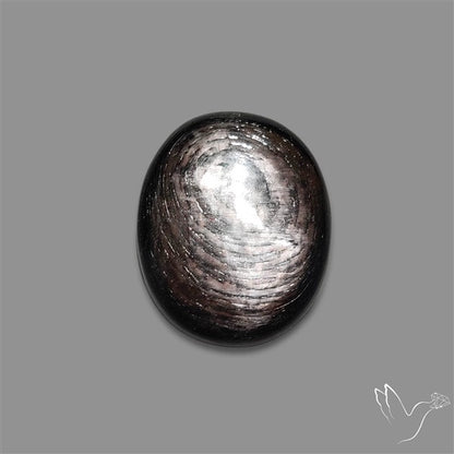 Hypersthene Cabochon