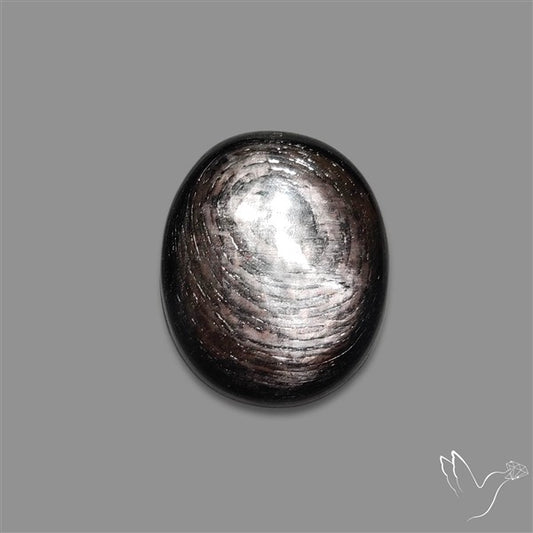 Hypersthene Cabochon