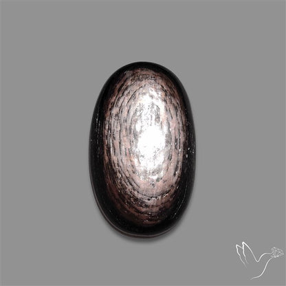 Hypersthene Cabochon