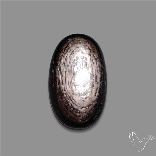 Hypersthene Cabochon