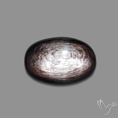 Hypersthene Cabochon