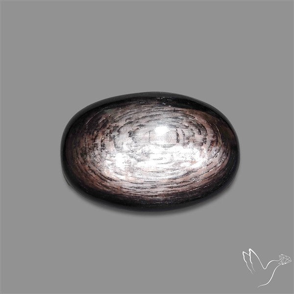 Hypersthene Cabochon