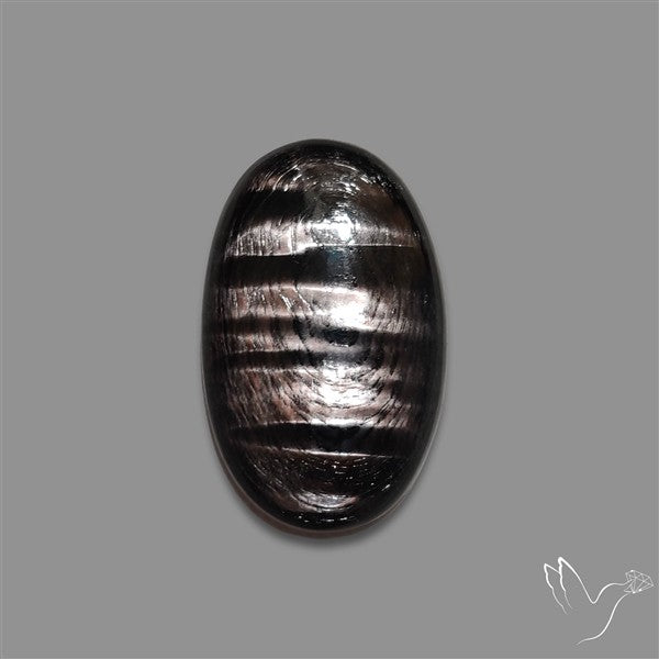 Hypersthene Cabochon