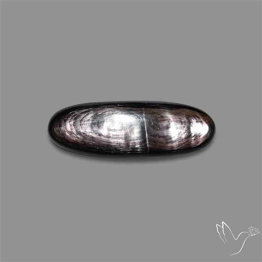 Hypersthene Cabochon
