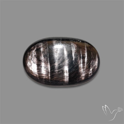 Hypersthene Cabochon
