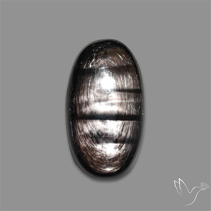 Hypersthene Cabochon