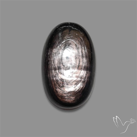 Hypersthene Cabochon