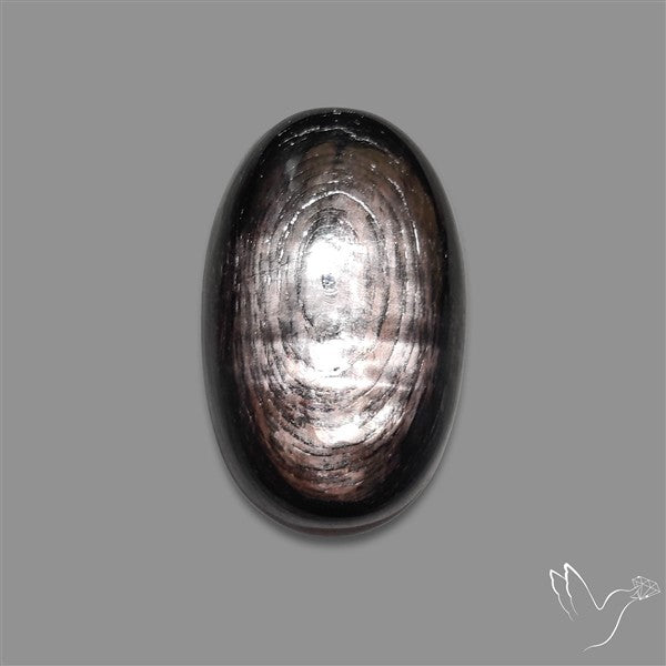Hypersthene Cabochon