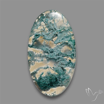Horse Canyon Moss Agate Cabochon