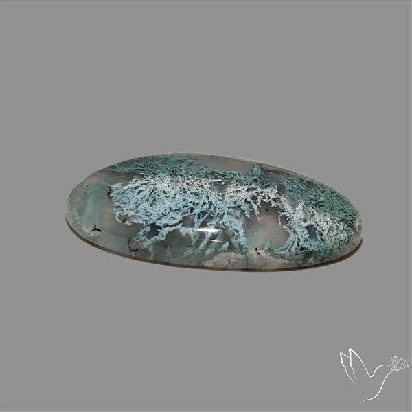Horse Canyon Moss Agate Cabochon
